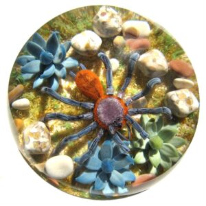 Ecuadorian Purple Tarantula von Gordon Smith