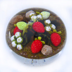 Erdbeeren von Gordon Smith
