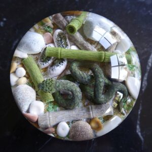 Green Ground Snake von Gordon Smith