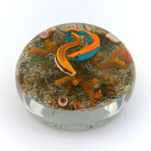 Lippfische von Gordon Smith
