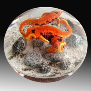Orangefarbene Kois II von Gordon Smith
