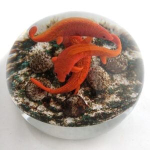 Orangefarbene Kois I von Gordon Smith