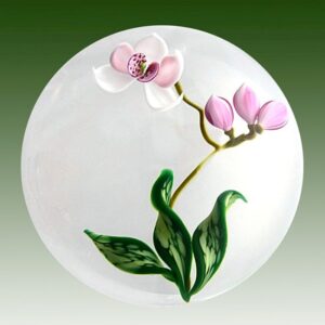 Orchidee von Gordon Smith