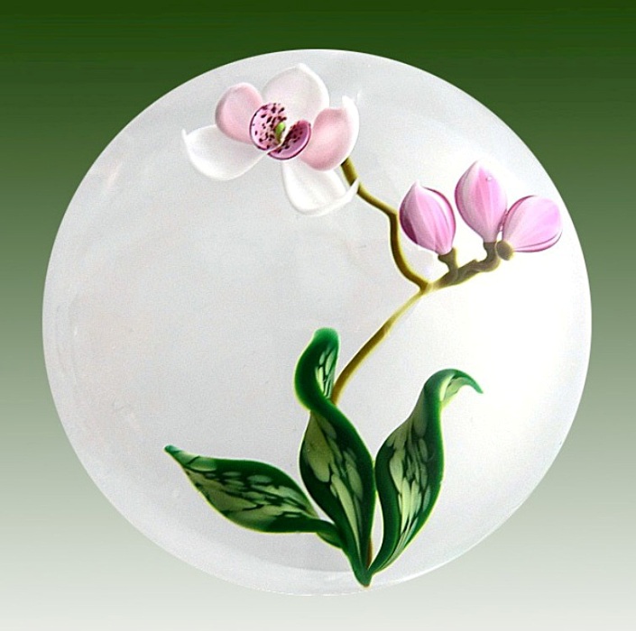 Orchidee von Gordon Smith