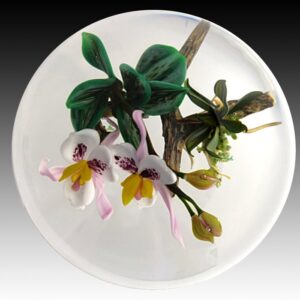 Aufsitzer Orchidee von Paul Stankard