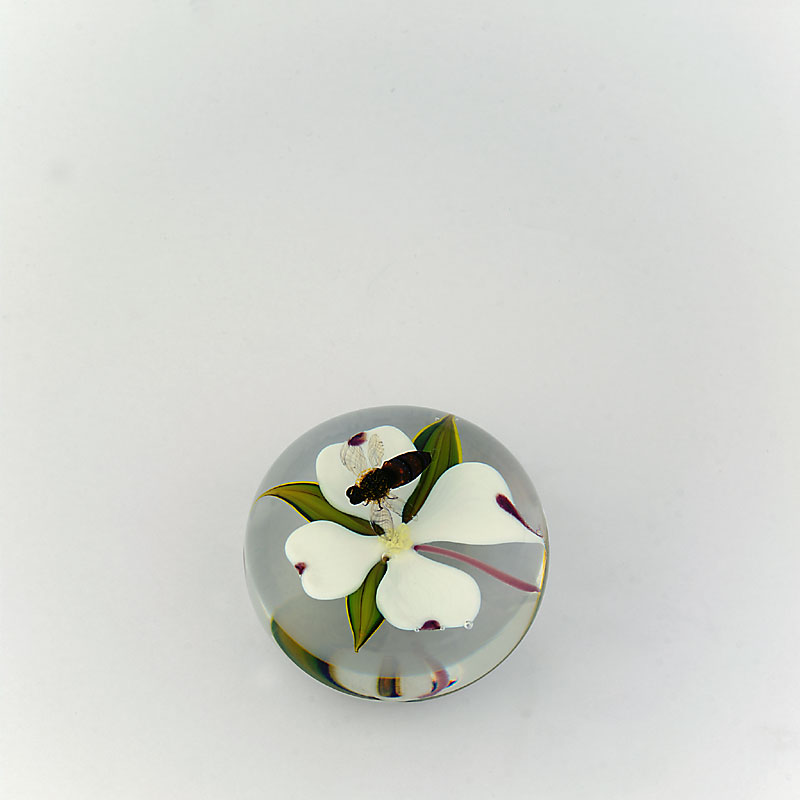 Biene und Dogwood von Paul Stankard