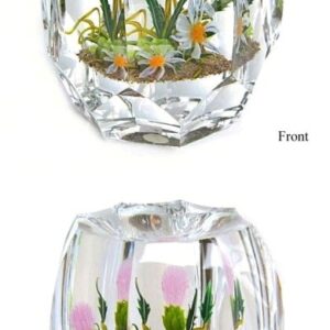 Botanical Thistle and Daisy von Paul Stankard