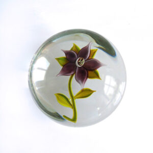 Clematis Botanical Interpretation von Paul Stankard