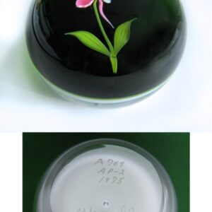 Orchidee ein ganz spezieller Paperweight von Paul Stankard