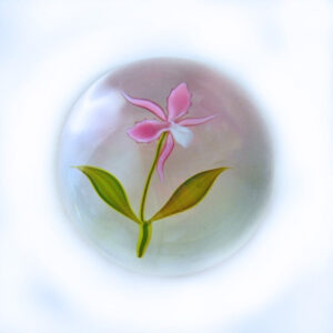 Orchidee von Paul Stankard