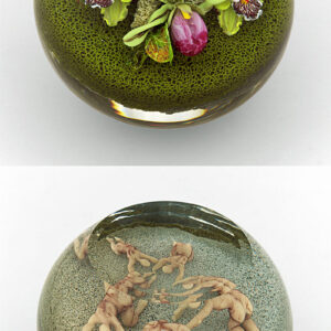 Orchideen und Root People von Paul Stankard