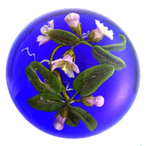Orchideen von Paul Stankard