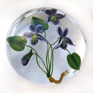 Veilchen Violets von Paul Stankard