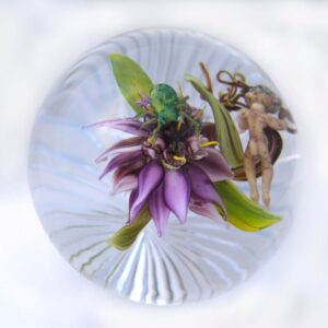 Botanical Impression Root People von Studio Stankard