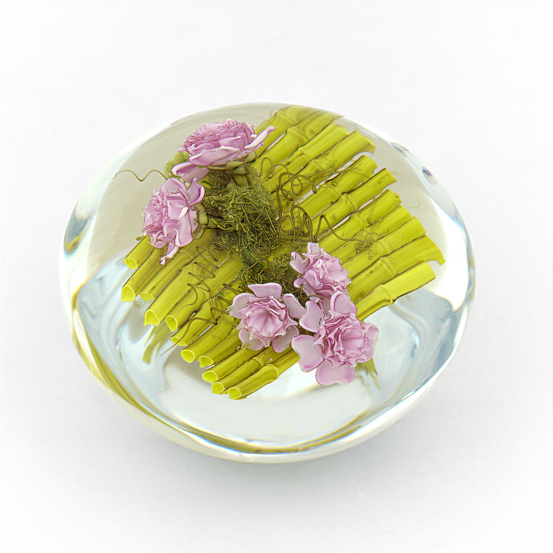 Pink Asian Roses von David Graeber von Studio Stankard