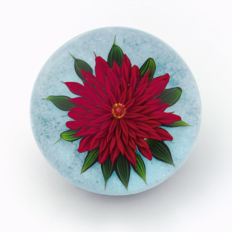Rote Dahlie Darling von Debbie Tarsitano