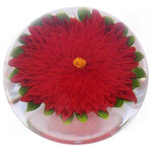 Rote Dahlie Scarlett von Debbie Tarsitano