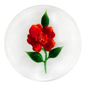 Rote Rose von Debbie Tarsitano