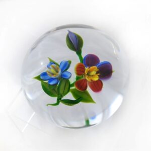 Stiefmuetterchen Pansy von Debbie Tarsitano