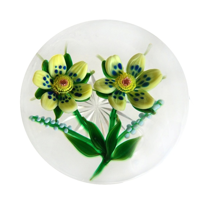 Wheat Flower von Debbie Tarsitano