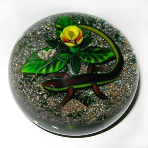 Earth Life Salamander und Spinne von Delmo Tarsitano
