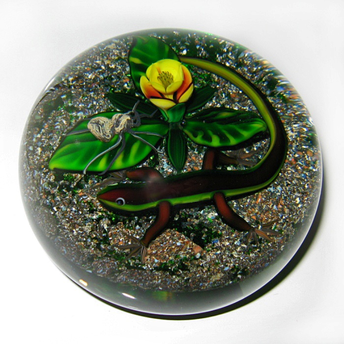 Earth Life Salamander und Spinne von Delmo Tarsitano