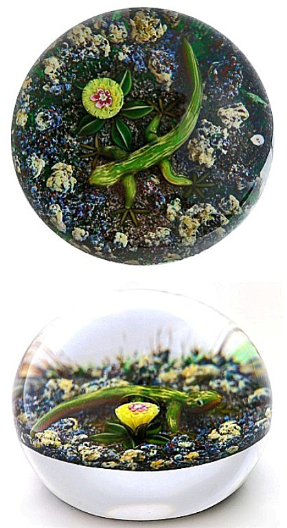 Earth Life Salamander von Delmo Tarsitano