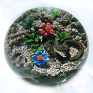 Earth Life braune Schlange von Delmo Tarsitano