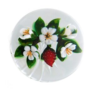 Erdbeere von Delmo Tarsitano