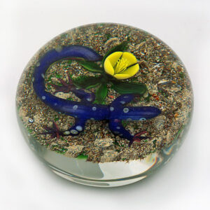 quot Earth Life quot Salamander von Delmo Tarsitano