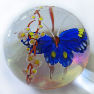 Blauer Schmetterling von Mayauel Ward