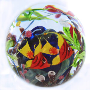 Bunte Fische im Korallenriff von Mayauel Ward