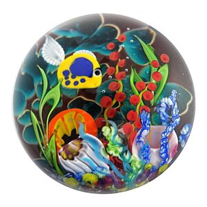 Bunte Unterwasserwelt VI von Mayauel Ward