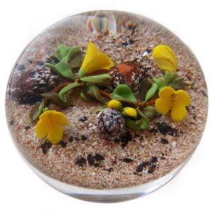 Desert Flowers I von Mayauel Ward