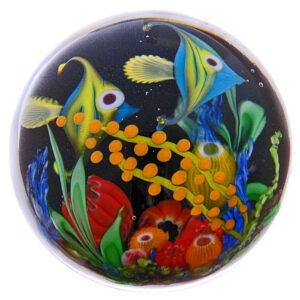 Fische im Korallenriff von Mayauel Ward