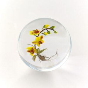 Gelbe Orchidee von Mayauel Ward