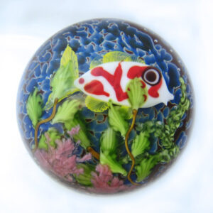 Koi Fisch von Mayauel Ward