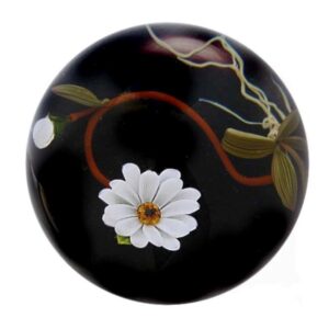Margerite Daisy von Mayauel Ward