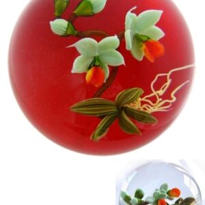 Orchidee Miniatur von Mayauel Ward