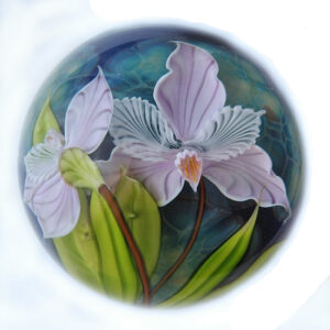 Orchidee von Mayauel Ward