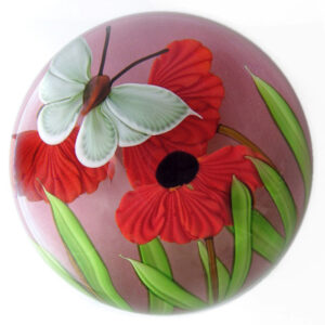 Roter Mohn und Schmetterling von Mayauel Ward
