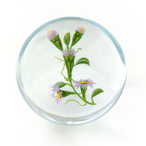 Yosemite Wildflower von Mayauel Ward