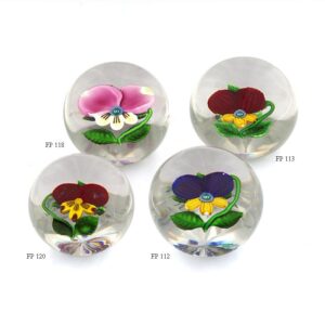 Stiefmuetterchen Pansy von Studios farfalla