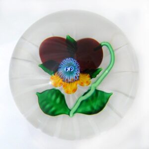 Stiefmuetterchen Pansy von Studios farfalla